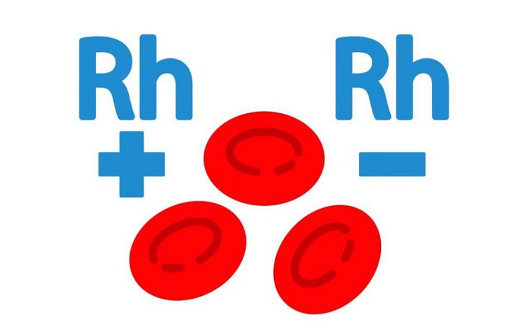 Hệ thống nhóm máu Rh ở người.