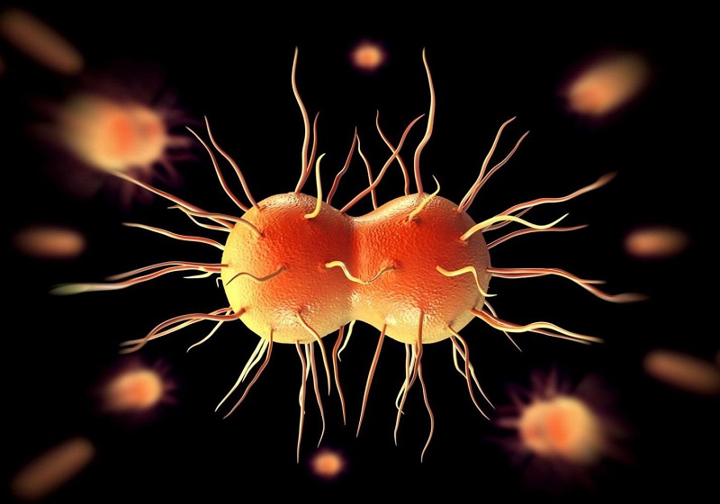 Bạn có biết về vi khuẩn Neisseria Gonorrhoeae gây bệnh lậu? | Medlatec