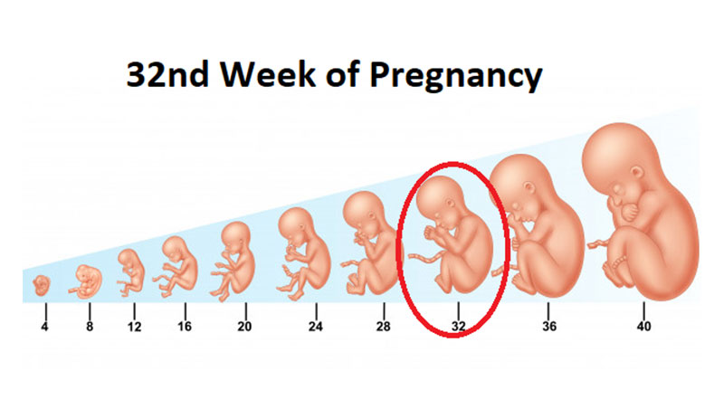 Giai đoạn thai 32 tuần – Mẹ bầu cần lưu ý và chuẩn bị những gì?