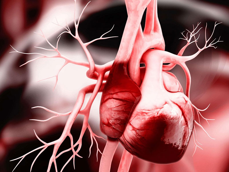 Bệnh nhân có rủi ro mắc các bệnh liên quan đến tim mạch rất cao.