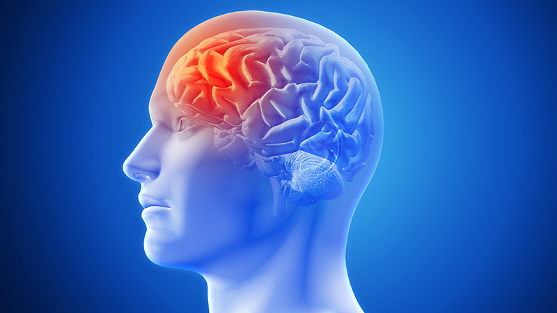 Những người có tiền sử bị chấn thương sọ não thường có nguy cơ mắc bệnh cao hơn so với người bình thường