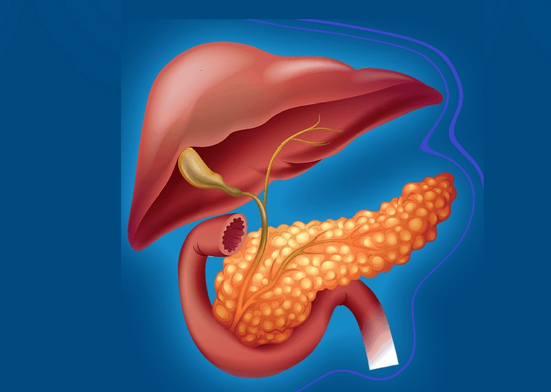 Xét Nghiệm Lipase: Tất Tần Tật Thông Tin Cần Biết Để Bảo Vệ Sức Khỏe