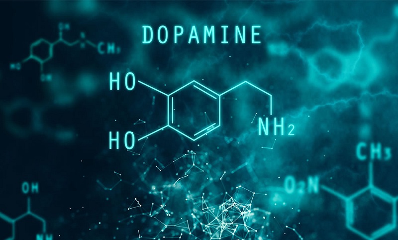 Hình 1: Dopamine - hormone “hạnh phúc” có trong cơ thể