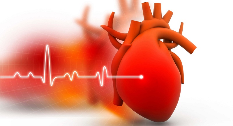 Ý nghĩa của xét nghiệm BNP trong bệnh lý tim mạch | Medlatec