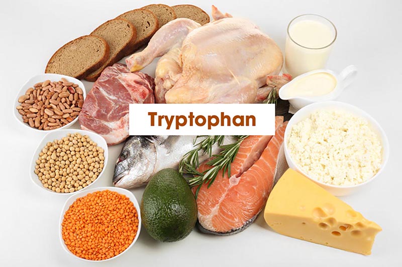 Thực phẩm chứa nhiều tryptophan sẽ giúp bạn có được giấc ngủ ngon mỗi đêm