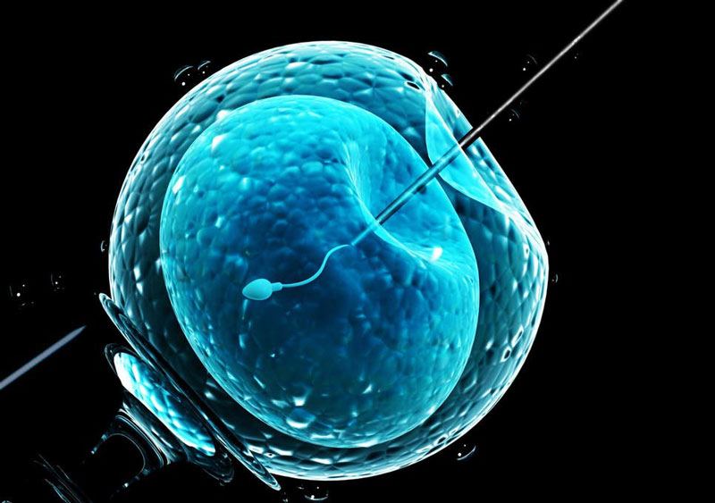 Hướng dẫn Giải đáp IVF là gì và những lưu ý khi thụ tinh nhân tạo #1