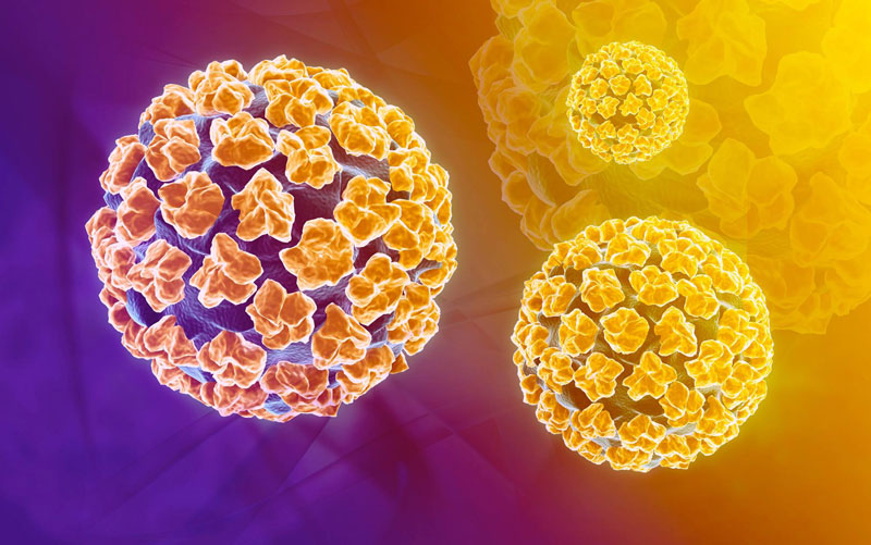 xét nghiệm hpv là gì