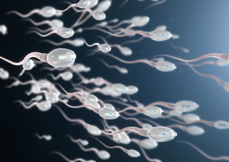 男性不育治疗有助于使精子更健康