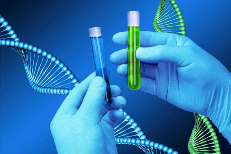 Mục đích chính của xét nghiệm ADN là kiểm tra quan hệ huyết thống