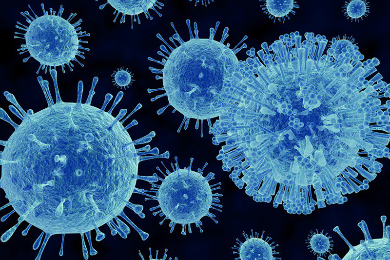 Sốt siêu vi do nhiễm phải nhiều loại virus