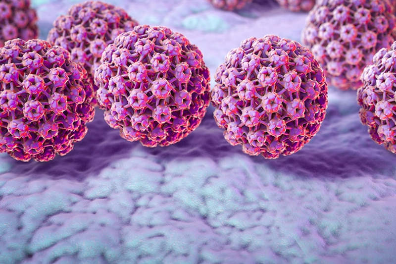 Hình ảnh virus HPV - một trong những bệnh lây qua đường tình dục phổ biến 