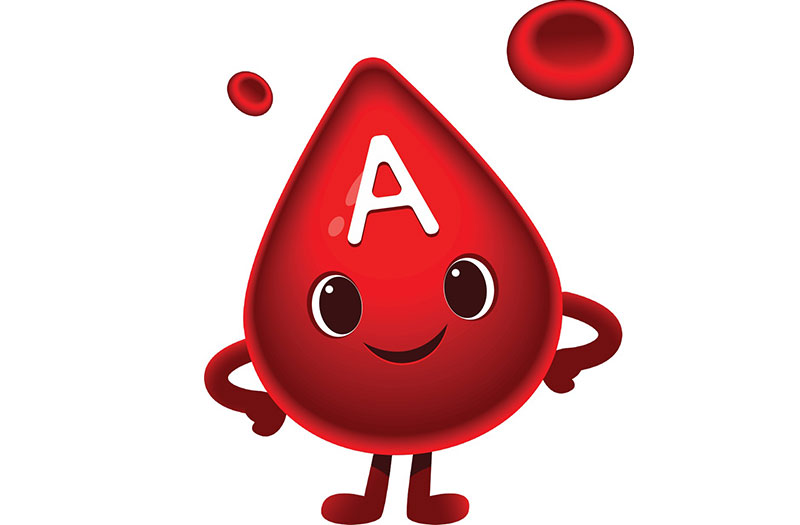 Nhóm máu A và những vấn đề cần chú ý để bảo vệ sức khỏe