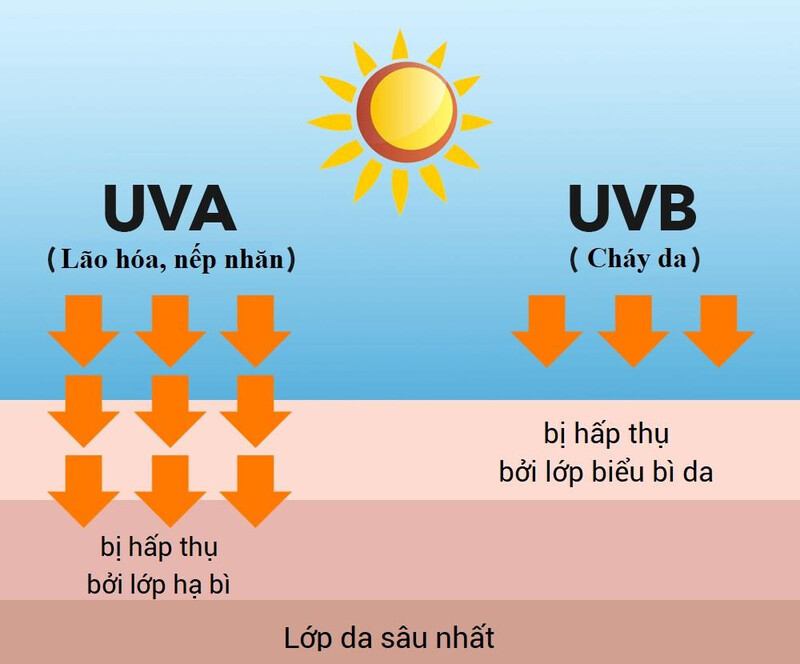 Tia UV kích thích sản sinh melanin làm đen da