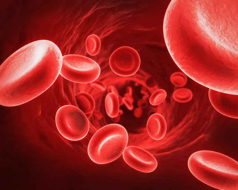 Hemoglobin - HgB là chất tạo màu đỏ cho máu