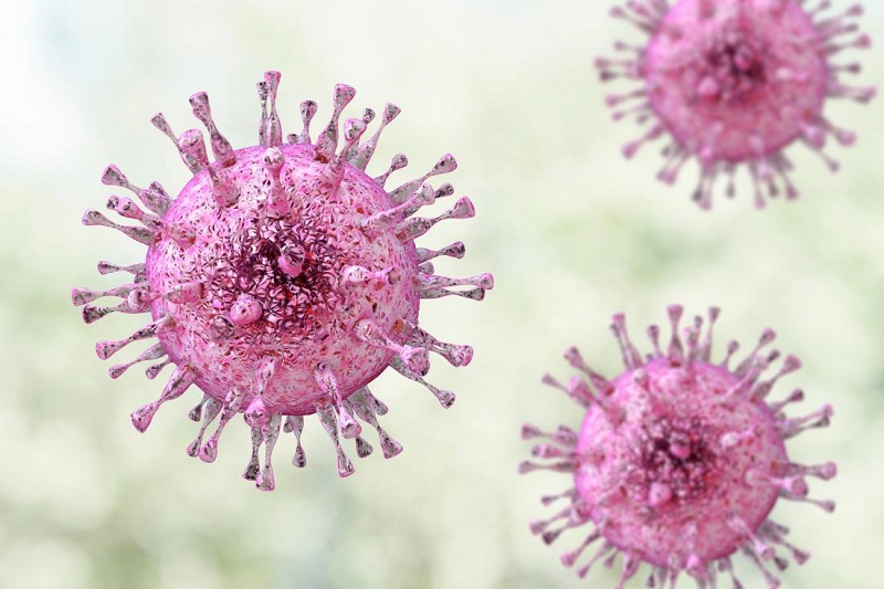 Virus Human herpes gây sốt phát ban ở người lớn