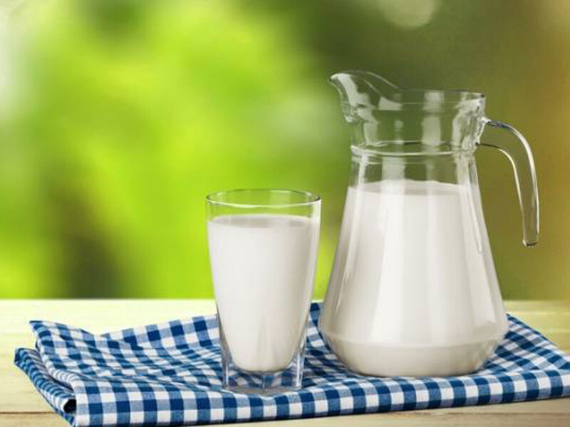 Sữa cung cấp Vitamin B12 cho cơ thể mỗi ngày