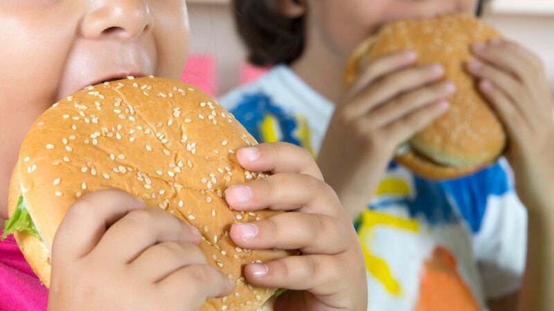 Thói quen ăn uống thiếu lành mạnh làm tăng tỷ lệ mắc bệnh béo phì