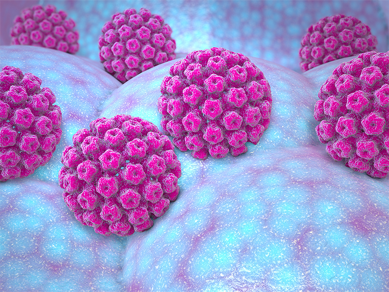 Virus HPV là gì – Tổng hợp những thông tin tổng quan nhất