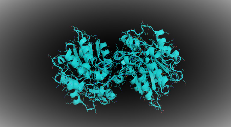 Các cơ quan và cơ thể sử dụng rất nhiều loại enzyme