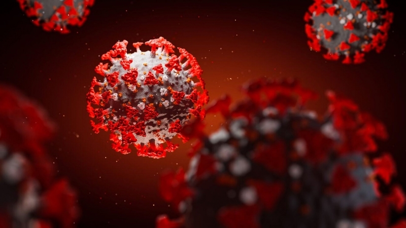 Kháng thể lõi với virus viêm gan B sẽ tồn tại lâu dài trong máu
