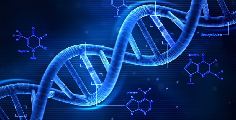 Xét nghiệm PCR giúp chẩn đoán chính xác virus HIV