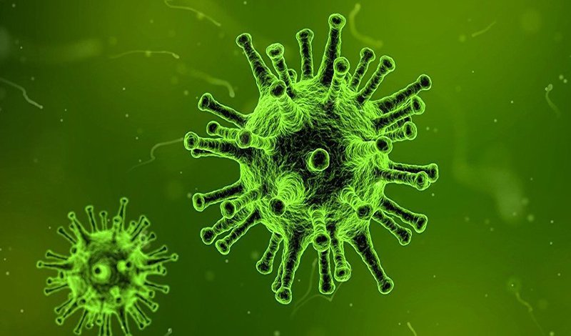 Virus thủy đậu có thể tồn tại khá lâu ngoài môi trường