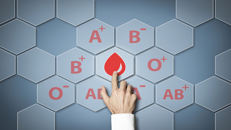 Nhóm máu dựa trên kháng thể bề mặt của các tế bào máu đỏ