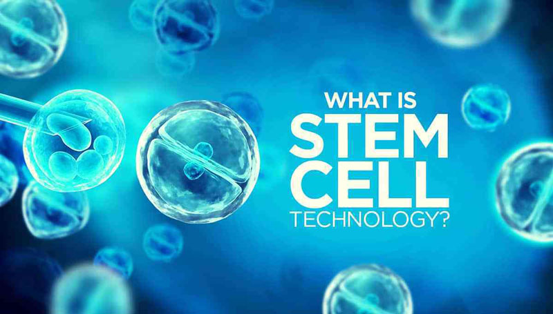Đôi nét về ứng dụng công nghệ tế bào gốc trong y khoa | Medlatec