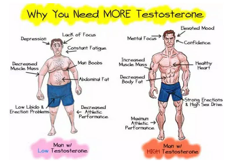 Nếu nồng độ testosterone giảm thấp, sức khỏe của người đàn ông trở nên yếu hơn