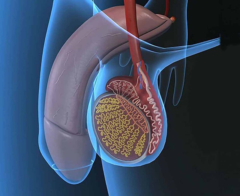 Cắt bỏ một bên tinh hoàn có thể sinh con