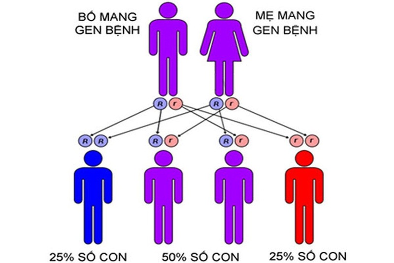 Sàng Lọc Quý 3: Đánh Giá Sức Khỏe Thai Nhi