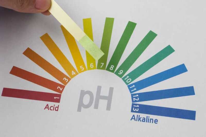 Độ pH âm đạo bao nhiêu là bình thường