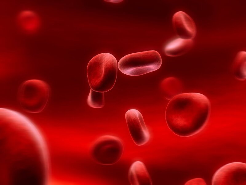 Bệnh thiếu máu hồng cầu to là một trong các bệnh thiếu máu
