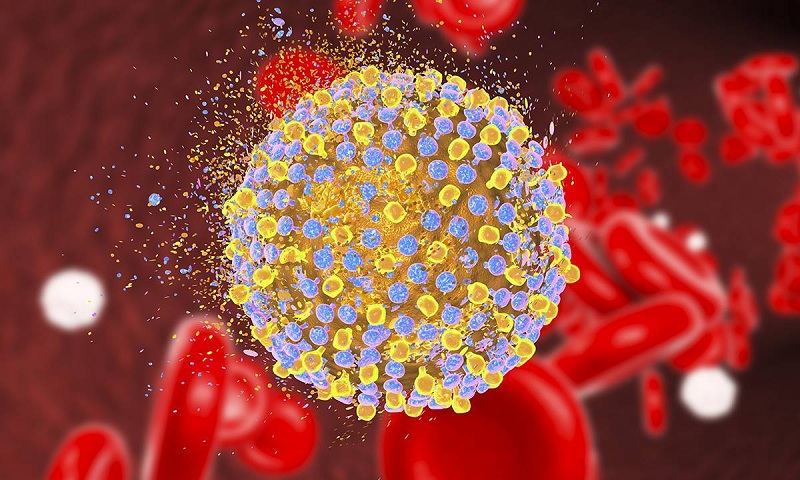 Virus Hepatitis E gây bệnh viêm gan E