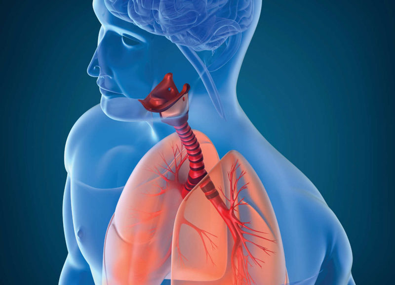 Viêm đường hô hấp - một căn bệnh không thể coi thường | Medlatec