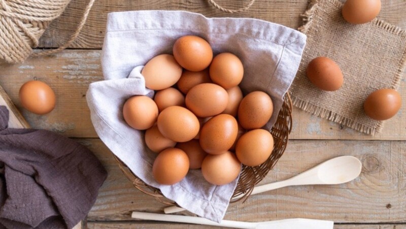 Lượng protein vô trứng gà