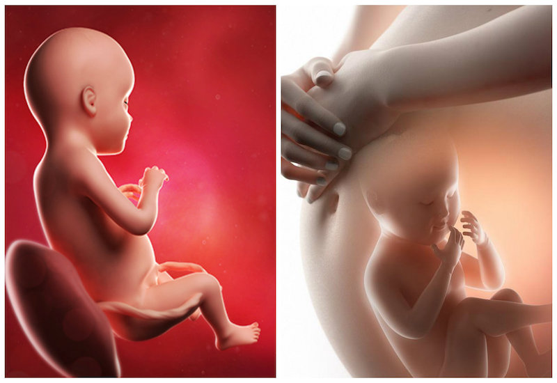 Ốm nghén bình thường không gây hại cho sự phát triển của thai nhi