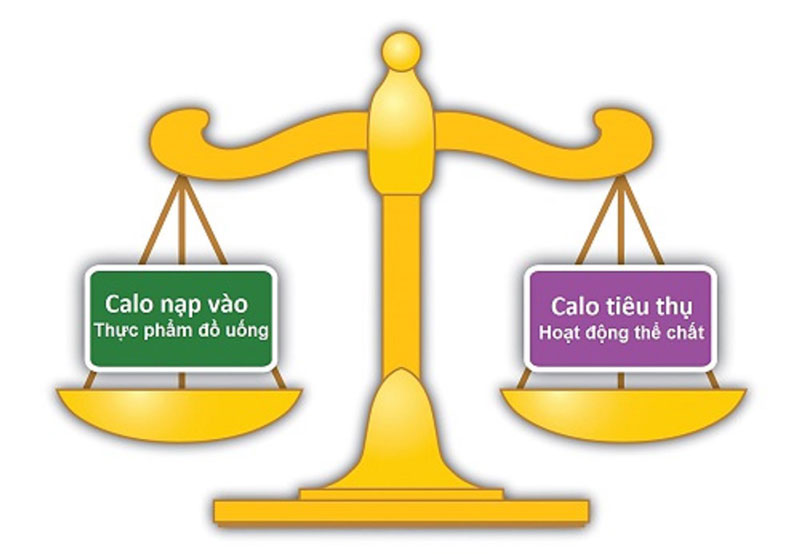 hoạt động hàng ngày đốt cháy bao nhiêu calo 