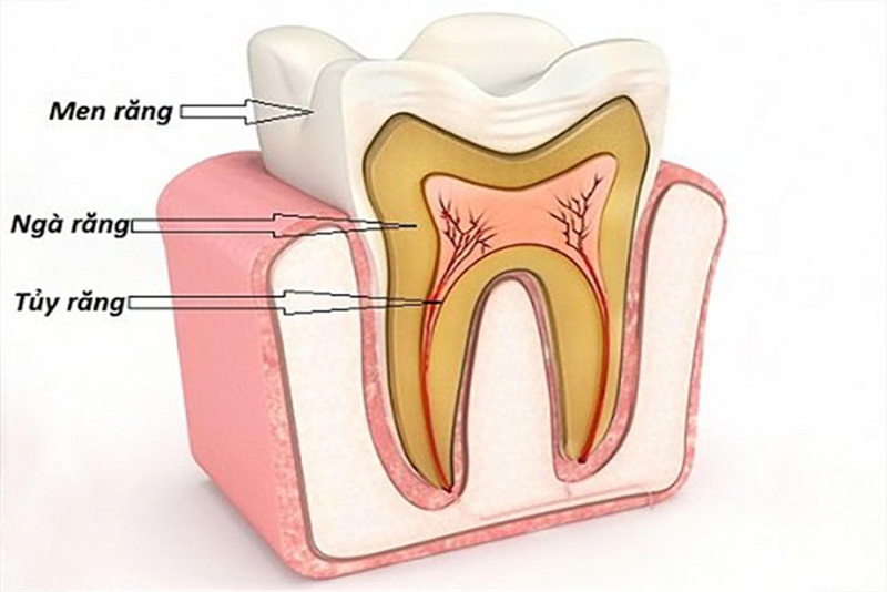 Tùy vào mỗi trường hợp, bác sĩ sẽ quyết định có lấy tủy răng cho trẻ hay không