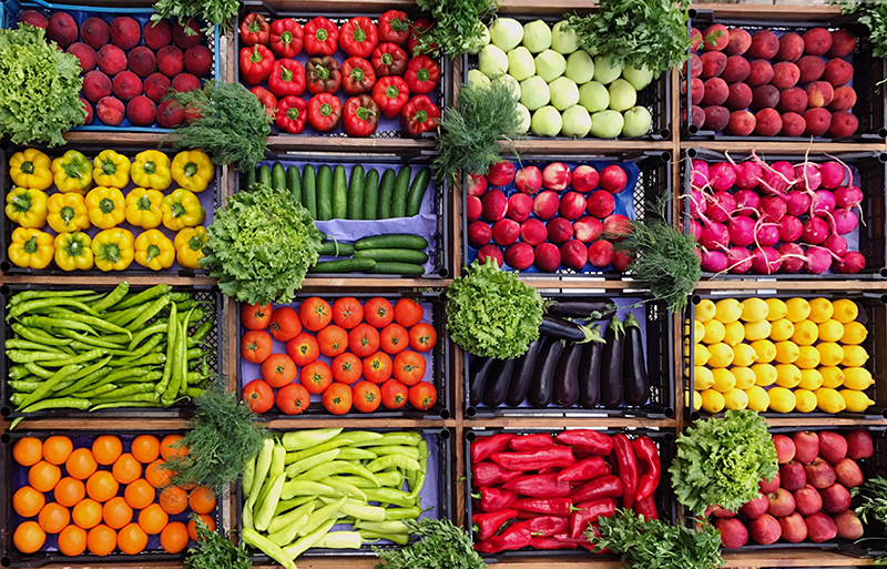 Chế độ ăn cho người bệnh trĩ cần được cân bằng hợp lý, chú trọng bổ sung các loại rau củ và trái cây