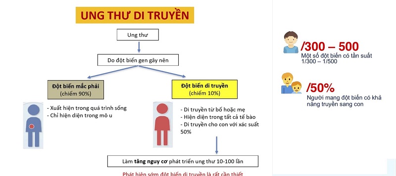 Xét nghiệm di truyền ước tính khả năng phát triển ung thư trong cuộc đời bạn. 