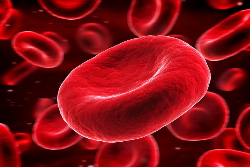 Hồng cầu là gì? Tình trạng tăng hồng cầu trong máu có nguy hiểm