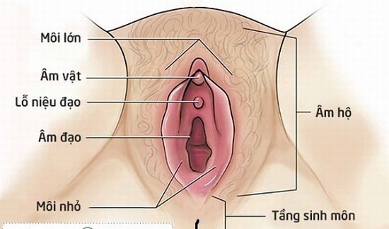 4. Tâm Lý và Cảm Xúc Sau Sinh