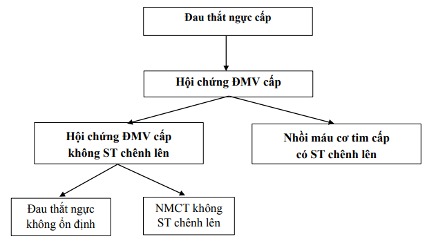 Hội chứng mạch vành cấp