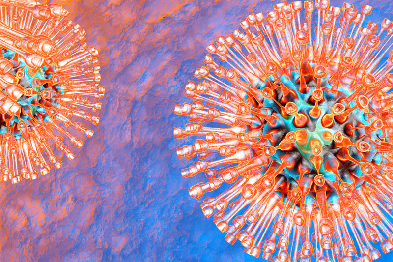 Virus Herpes có khả năng tấn công vào bất cứ đối tượng nào và gây nhiều loại bệnh khác nhau