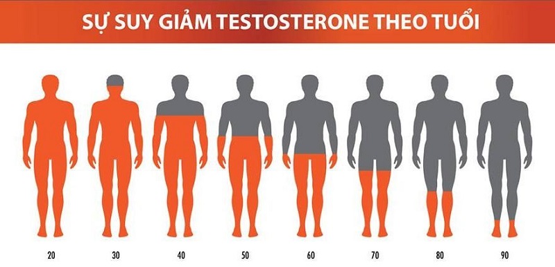 Thực phẩm giúp giảm estrogen