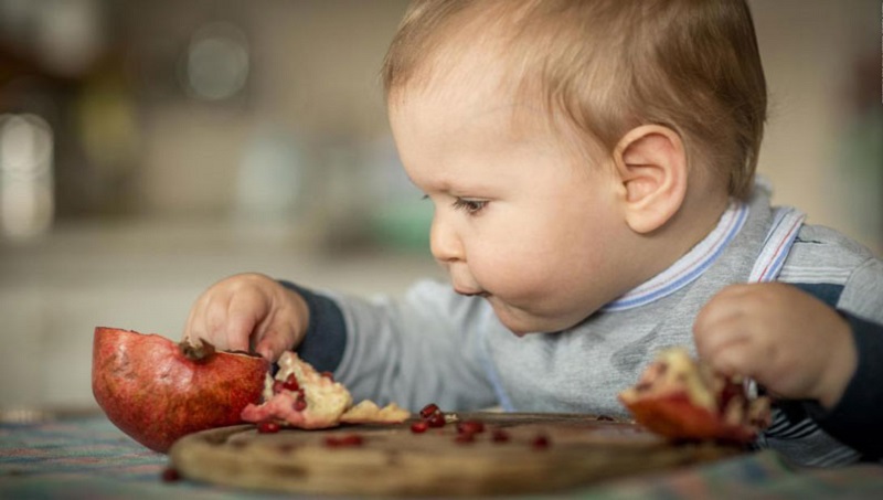 Bạn có thể cho bé ăn trái cây như lựu, bơ hoặc mâm xôi.