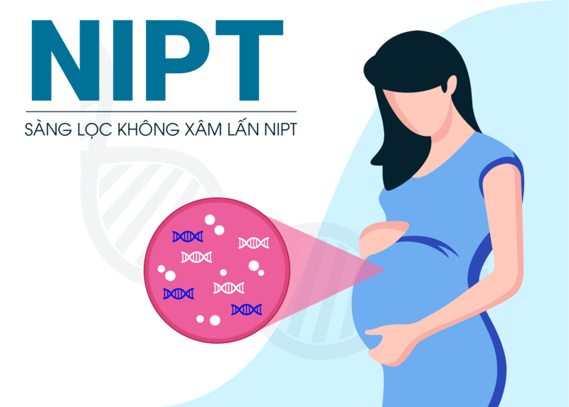 NIPT là xét nghiệm sàng lọc trước sinh không xâm lấn nên rất an toàn cho mẹ và bé