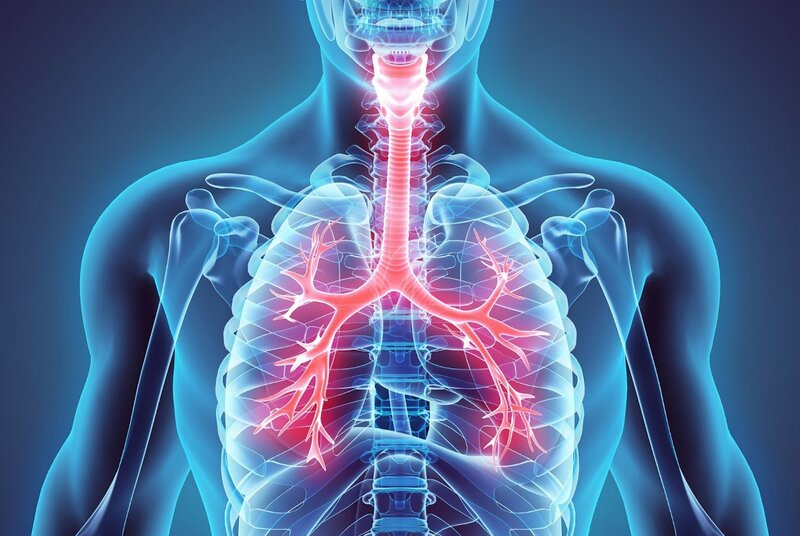 Làm thế nào để có một lá phổi khỏe mạnh - 4 cách đơn giản nhất | Medlatec