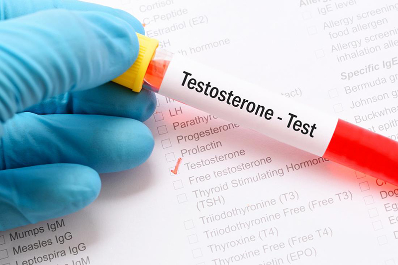Nồng độ hormone Testosterone liên quan mật thiết đến hoạt động xuất tinh